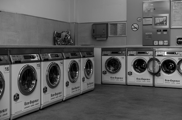 peut-on-arroser-les-plantes-avec-leau-du-seche-linge-1